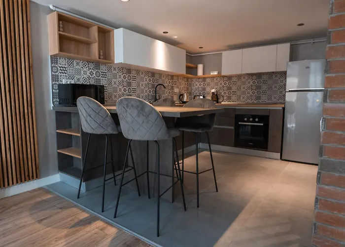 Apartment A&t Ultracentral Luxury Loft Brasov